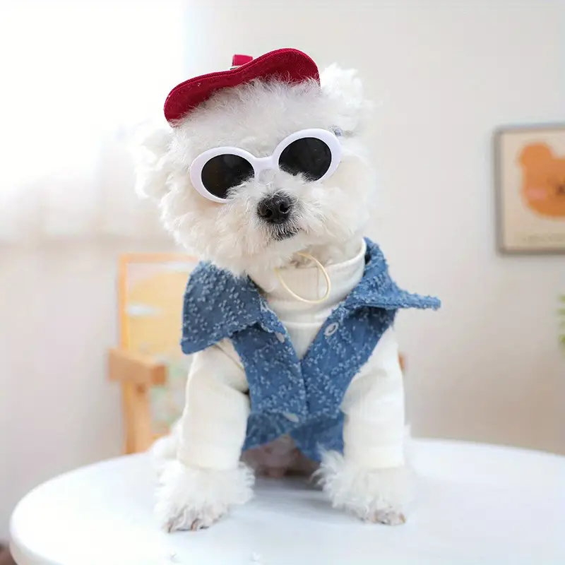 Street Fashion Shoot - 犬用ファッション野球帽 サングラス付きペット用日よけ帽子 犬のストリート写真撮影 旅行ファッション撮影用小道具